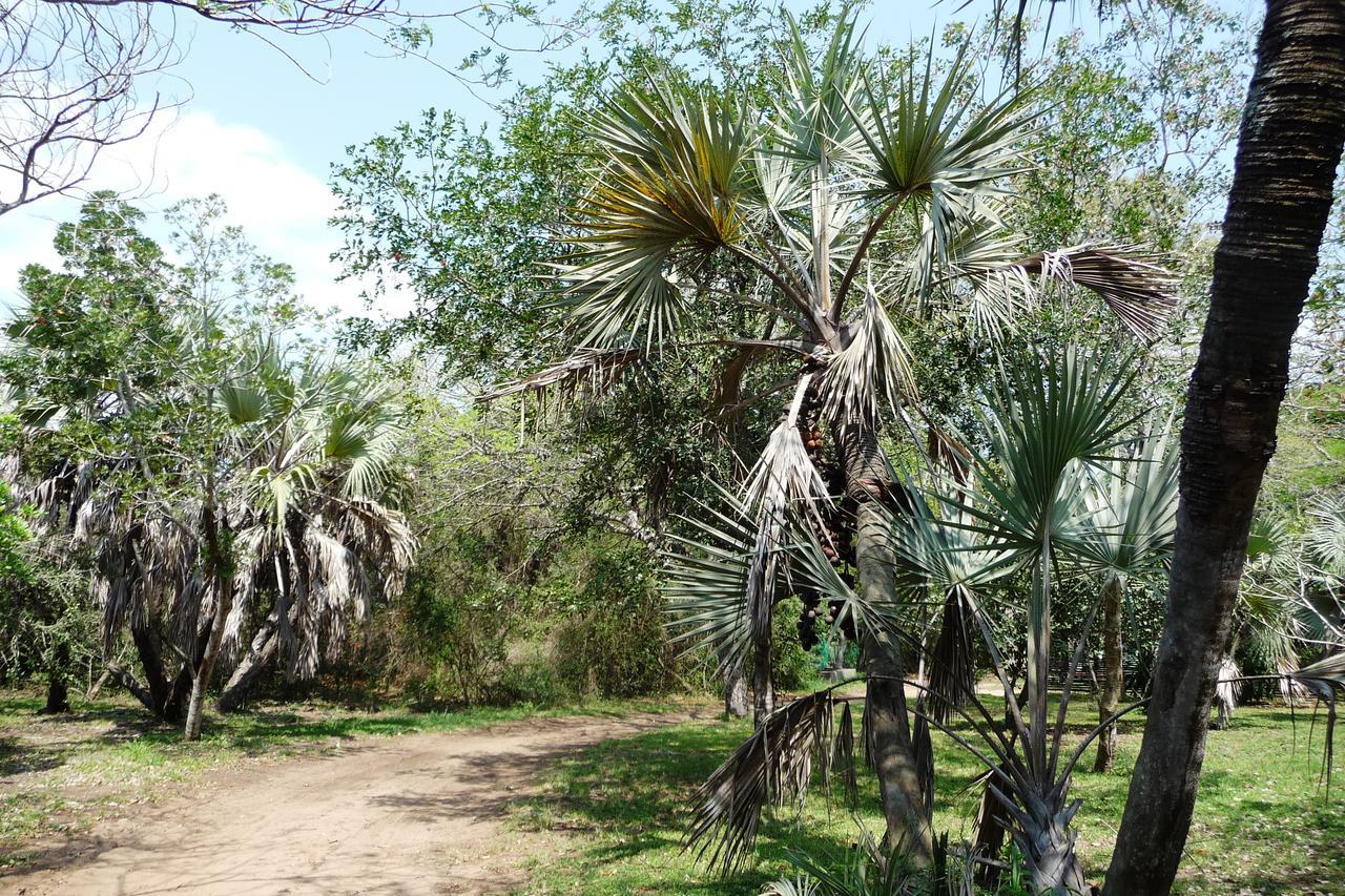 Isinkwe Bush Camp Villa Hluhluwe Buitenkant foto